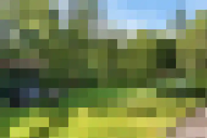 Beukenlaan Z 38 Oudemirdum thumbnail 29