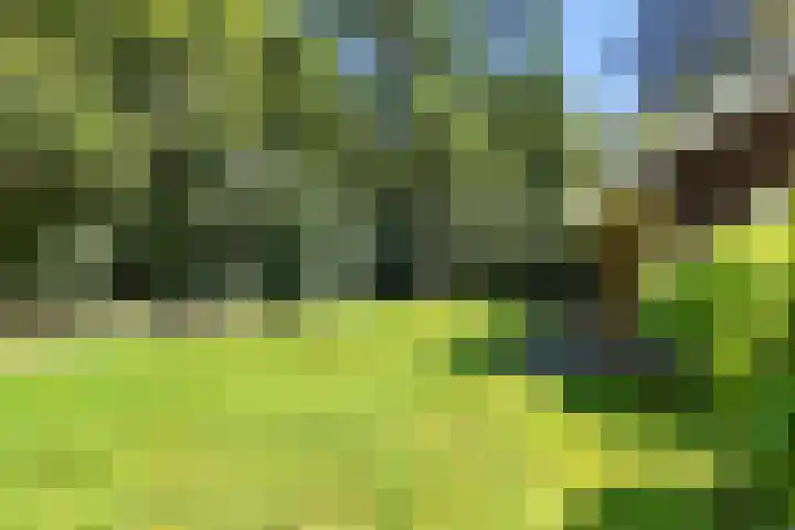 Beukenlaan Z 38 Oudemirdum thumbnail 30