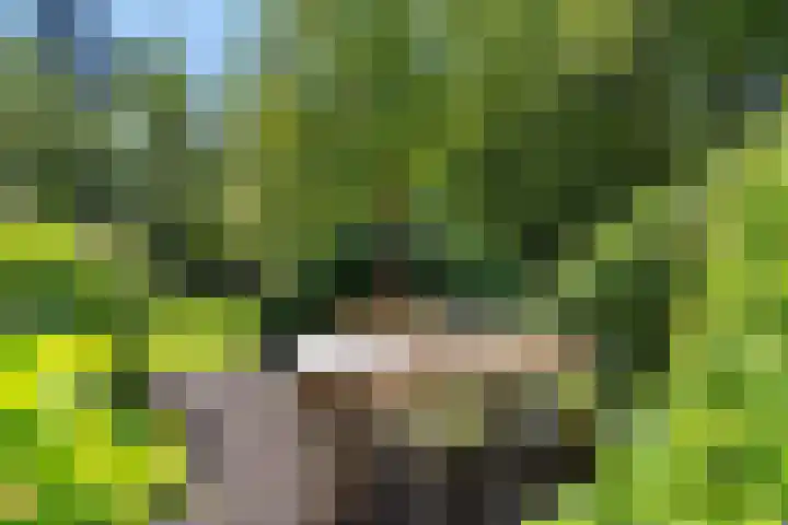 Beukenlaan Z 38 Oudemirdum thumbnail 31