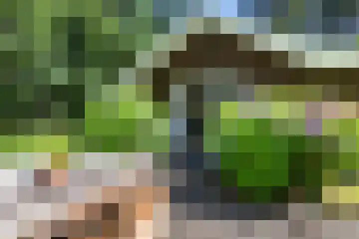 Beukenlaan Z 38 Oudemirdum thumbnail 32