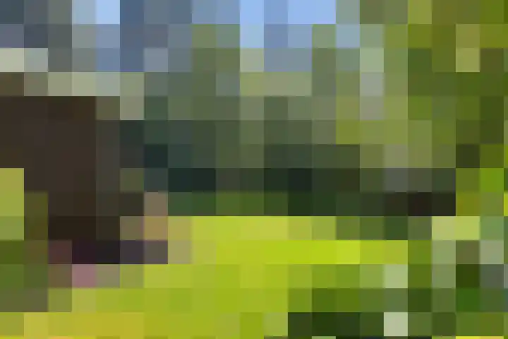 Beukenlaan Z 38 Oudemirdum thumbnail 33