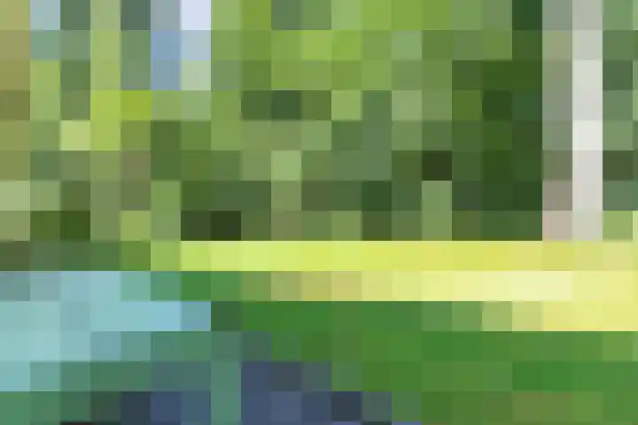 Beukenlaan Z 38 Oudemirdum thumbnail 34