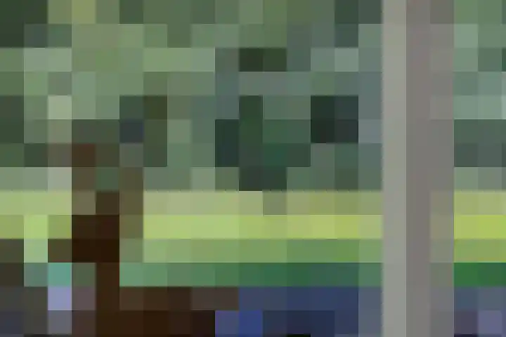 Beukenlaan Z 38 Oudemirdum thumbnail 35