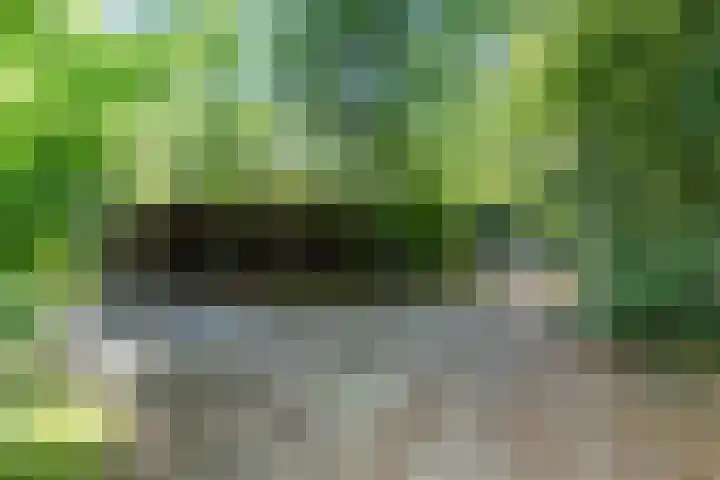 Beukenlaan Z 38 Oudemirdum thumbnail 36