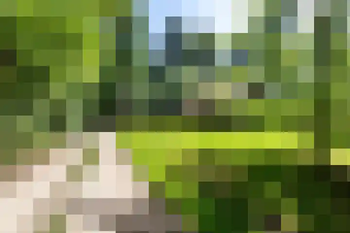 Beukenlaan Z 38 Oudemirdum thumbnail 37