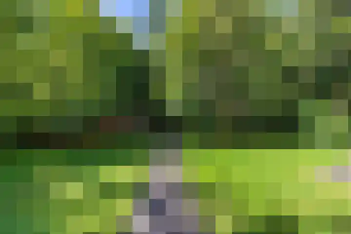 Beukenlaan Z 38 Oudemirdum thumbnail 38