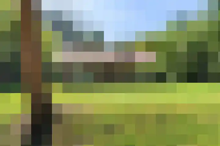 Beukenlaan Z 38 Oudemirdum thumbnail 39