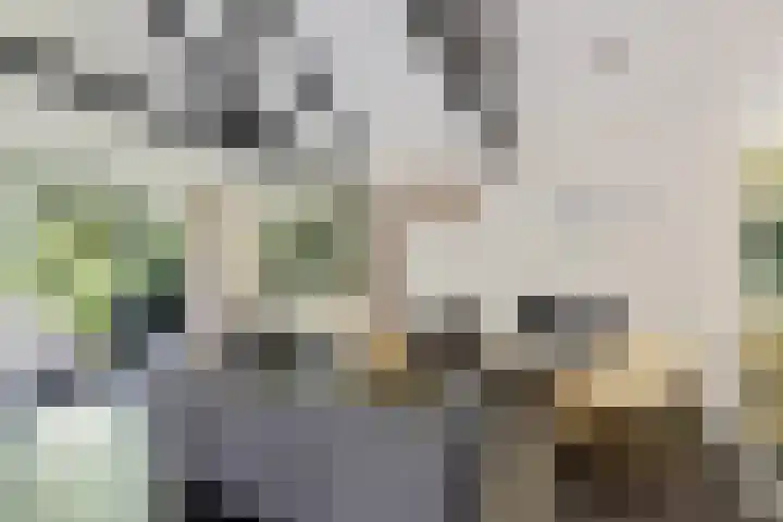 Beukenlaan Z 38 Oudemirdum thumbnail 4