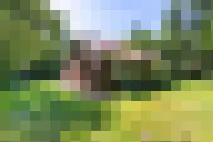 Beukenlaan Z 38 Oudemirdum thumbnail 40