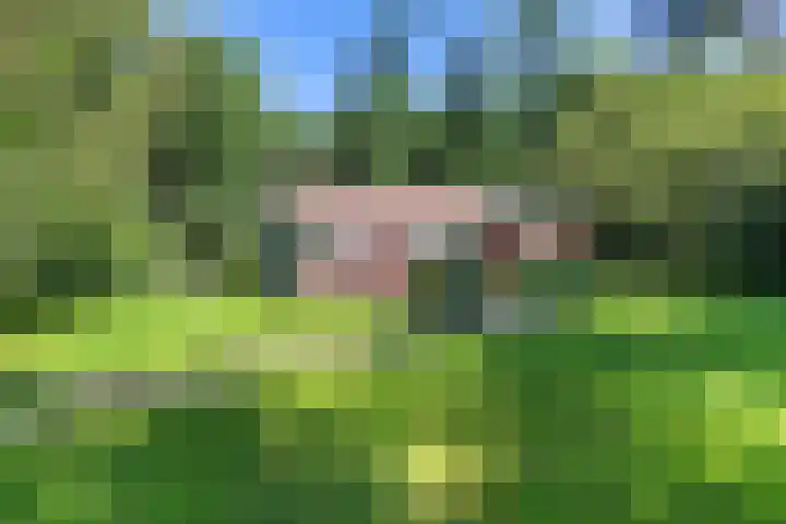 Beukenlaan Z 38 Oudemirdum thumbnail 41