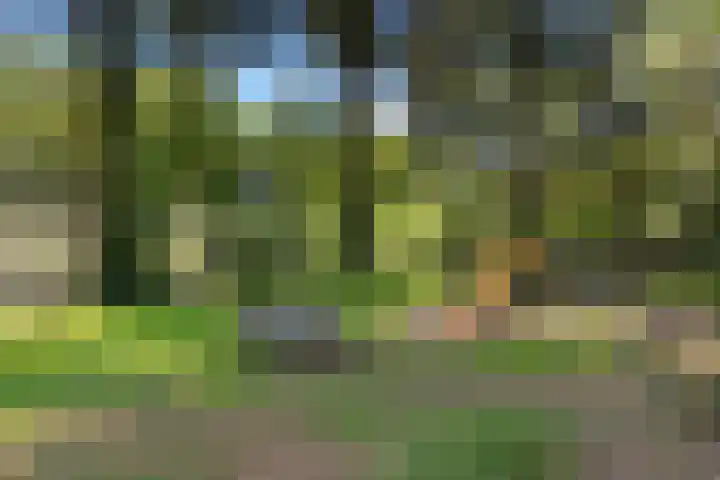 Beukenlaan Z 38 Oudemirdum thumbnail 43