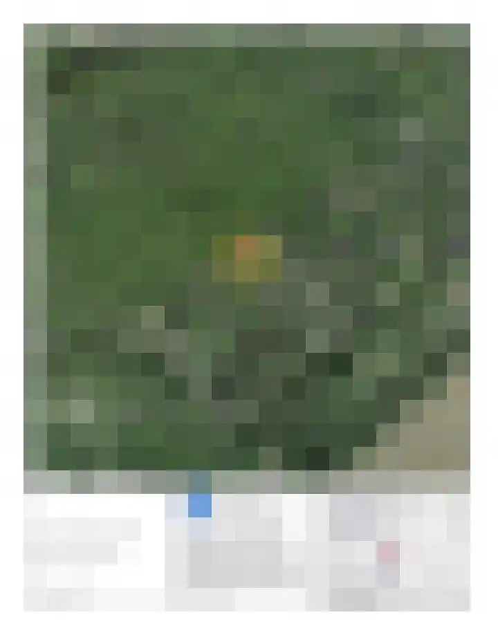 Beukenlaan Z 38 Oudemirdum thumbnail 45