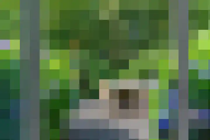 Beukenlaan Z 38 Oudemirdum thumbnail 5