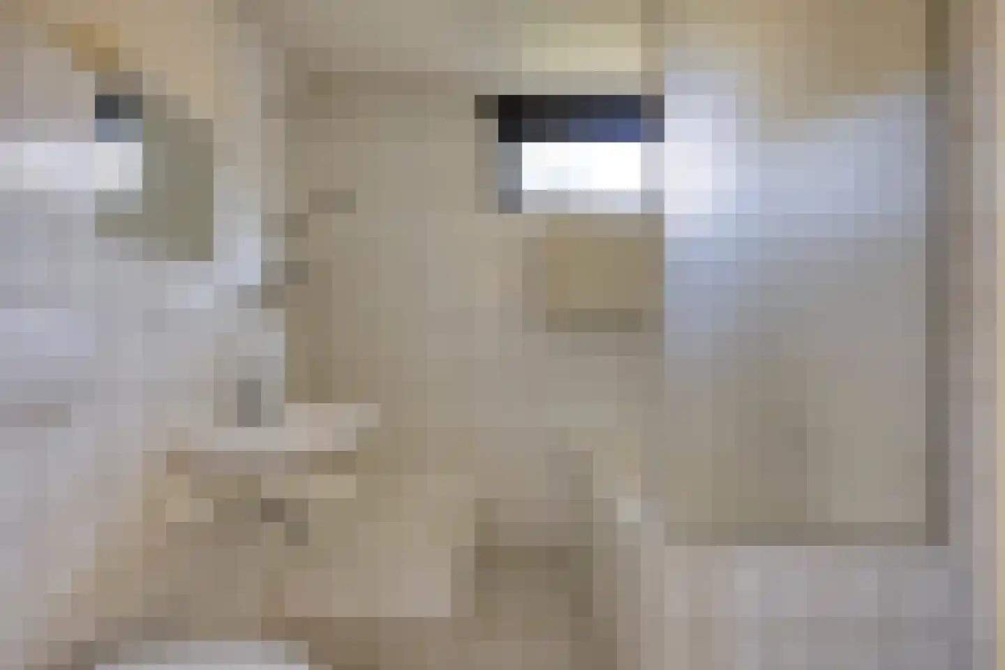 Beukenoord 21 Vaassen thumbnail 15