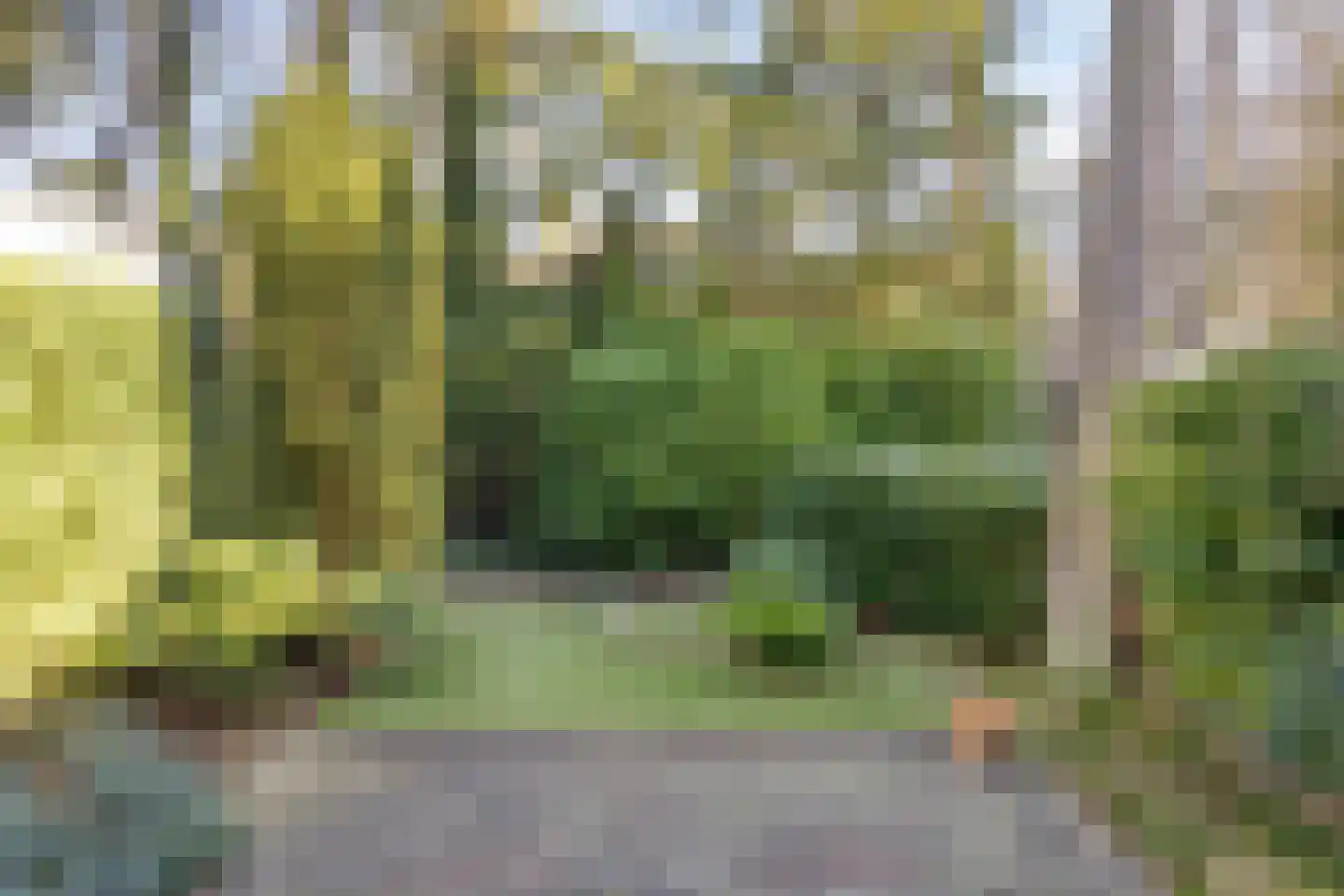 Beukenoord 21 Vaassen thumbnail 26