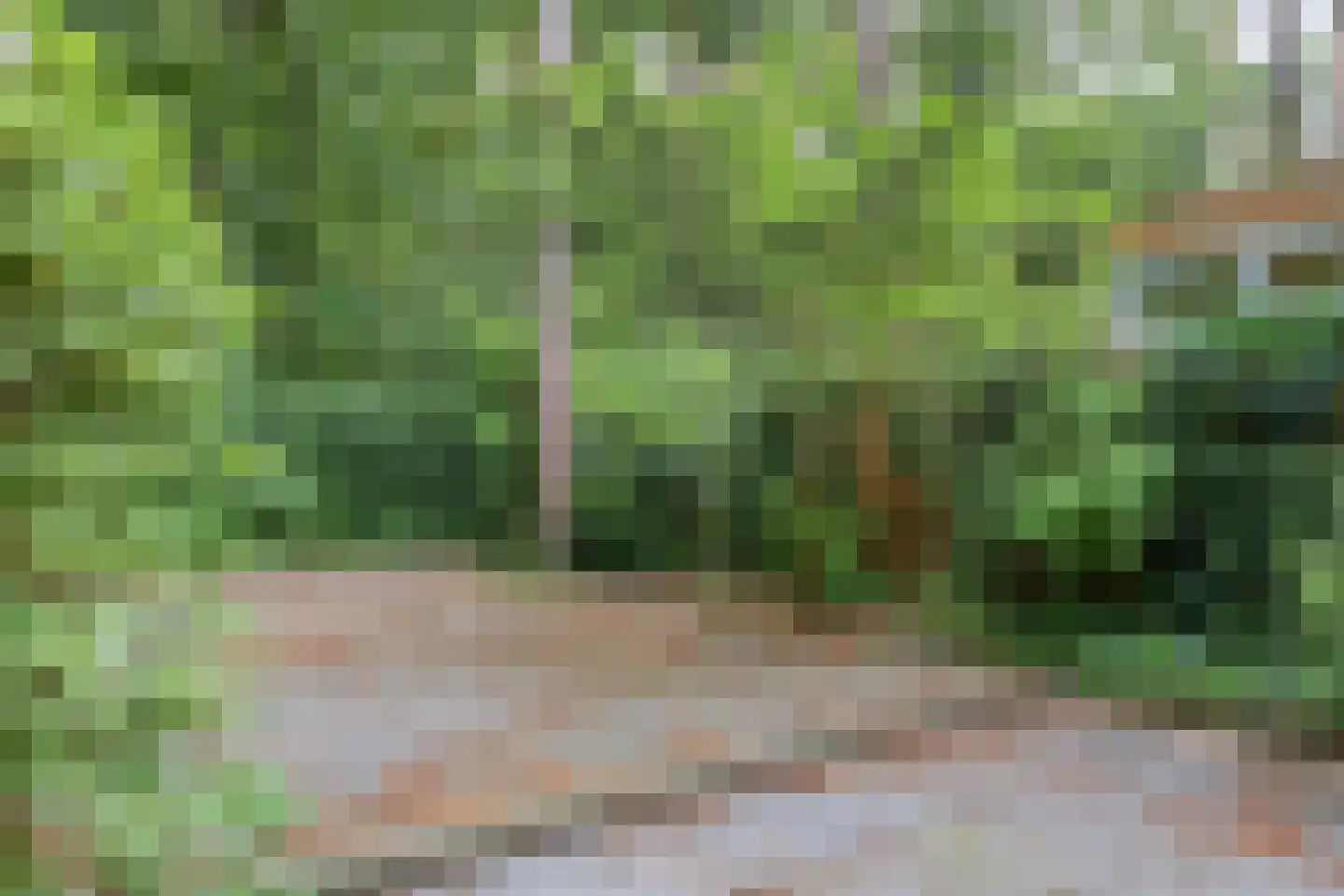 Beukenoord 8 Vaassen thumbnail 25