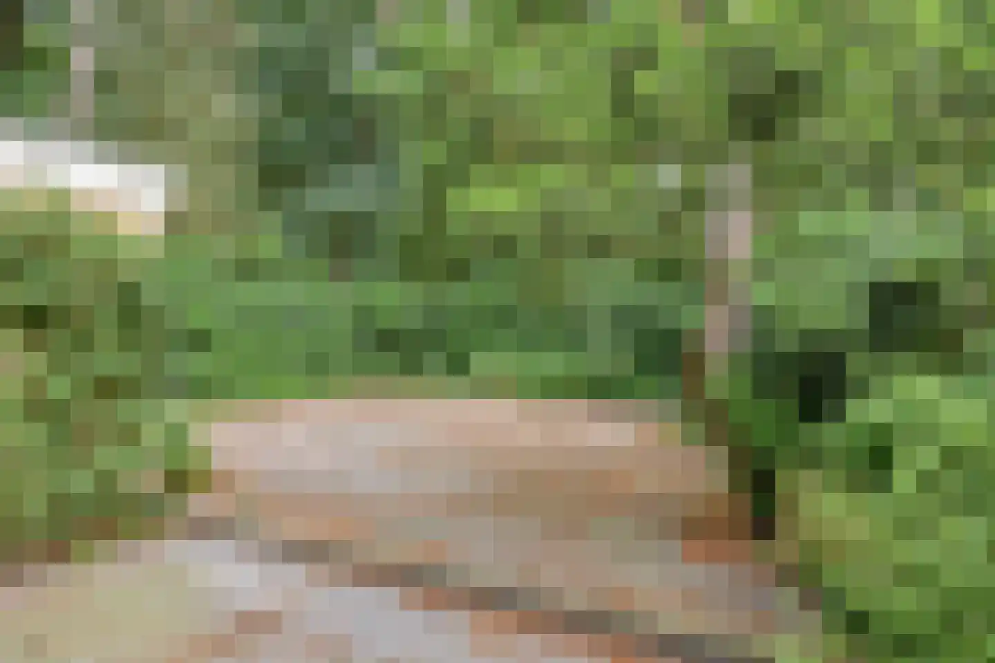 Beukenoord 8 Vaassen thumbnail 26