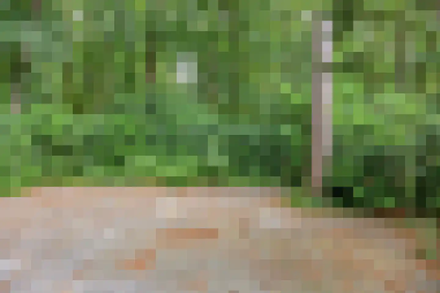 Beukenoord 8 Vaassen thumbnail 27