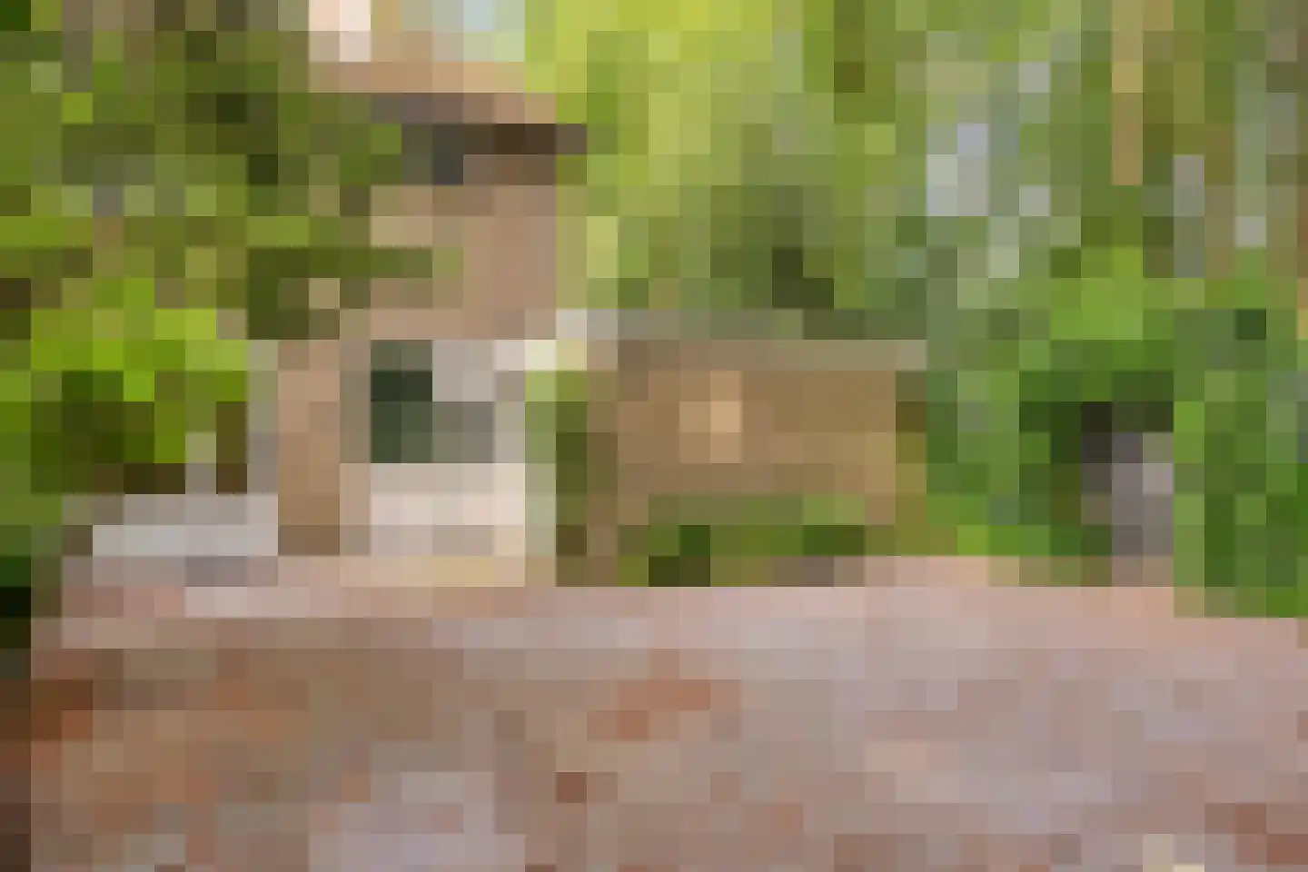 Beukenoord 8 Vaassen thumbnail 28
