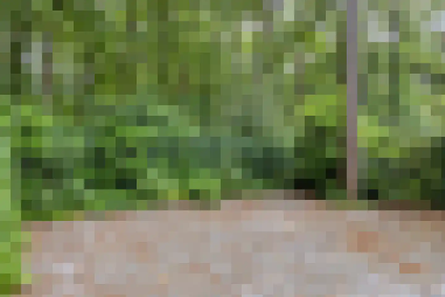 Beukenoord 8 Vaassen thumbnail 32