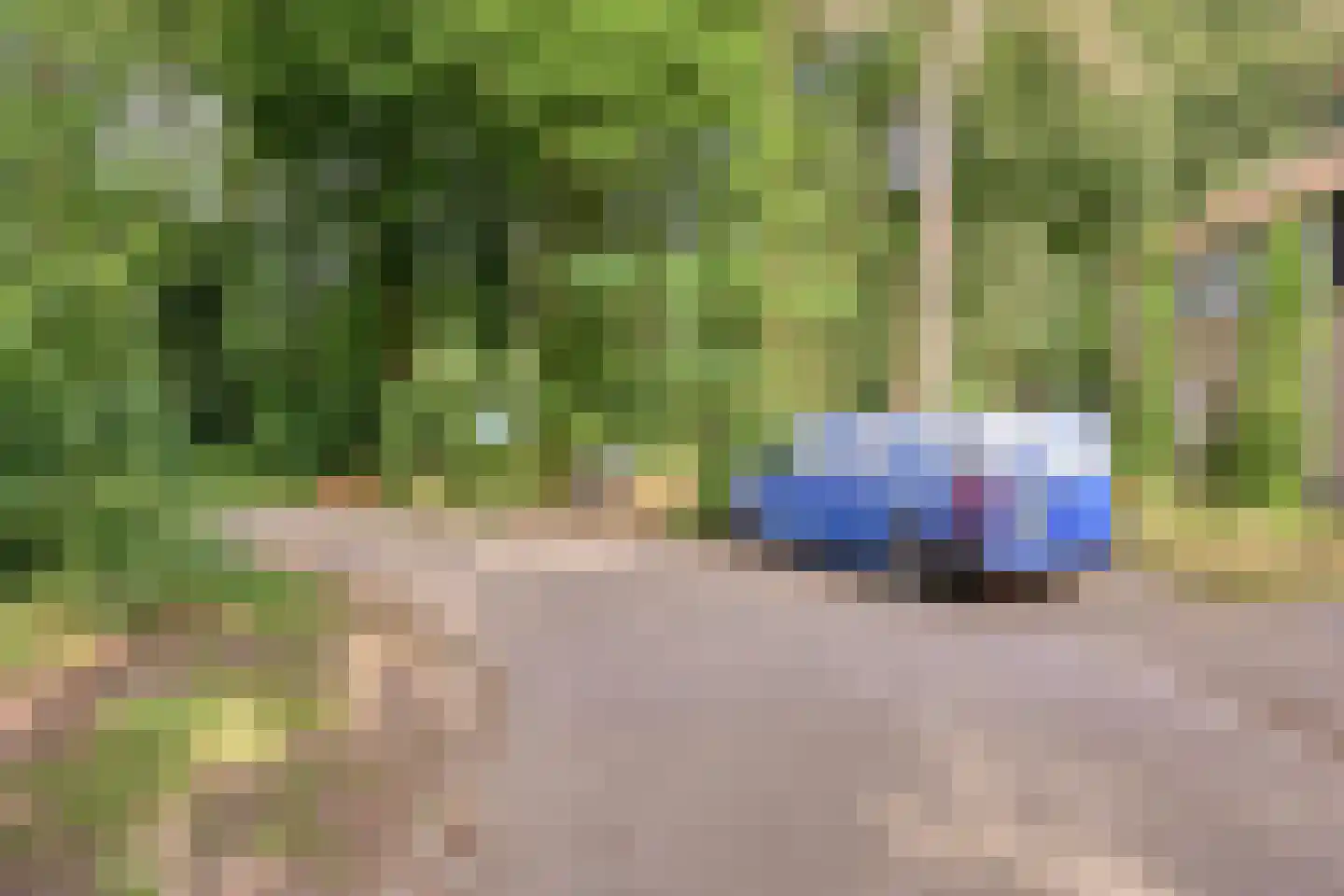Beukenoord 8 Vaassen thumbnail 35