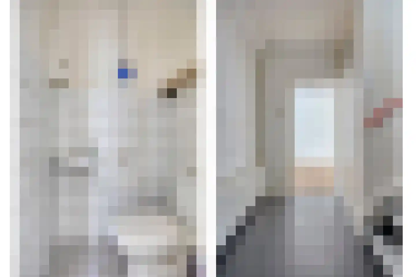 Beukenoord 8 Vaassen thumbnail 4