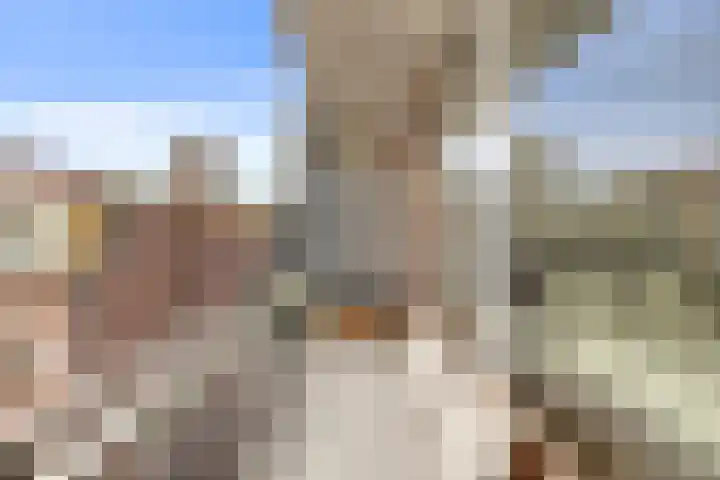 Beukenplein 14 H Amsterdam thumbnail 32