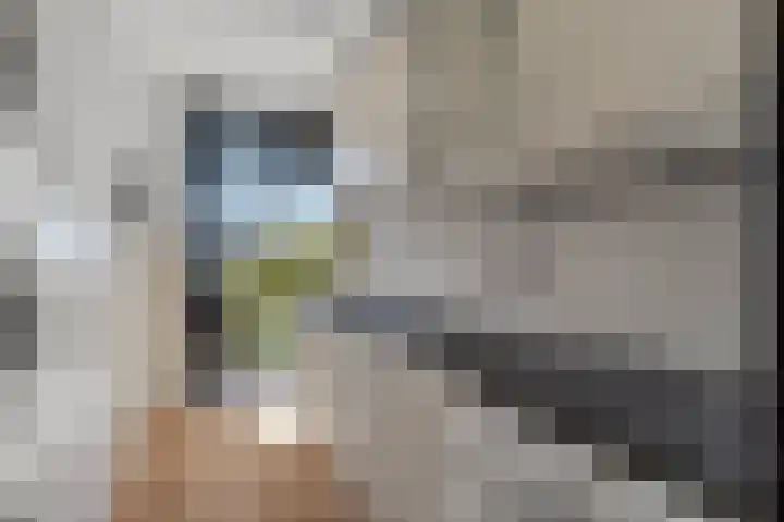 Beukenplein 20 2 Amsterdam thumbnail 15