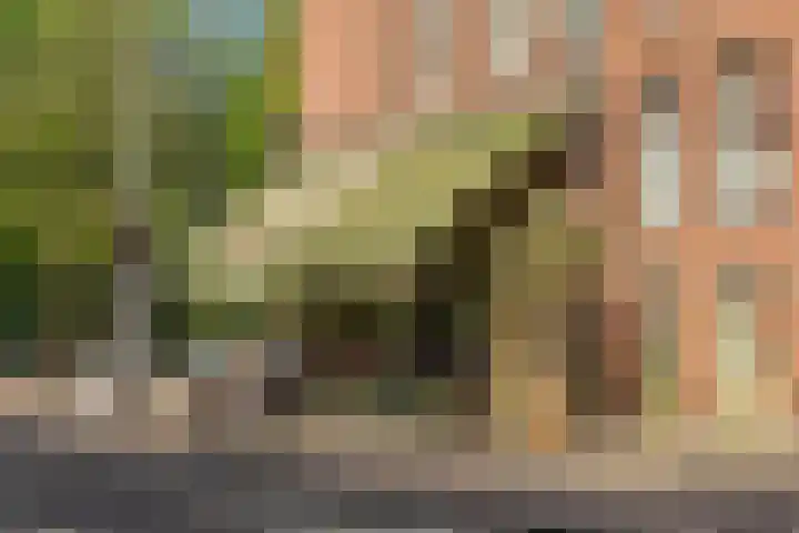 Beukenplein 20 2 Amsterdam thumbnail 28