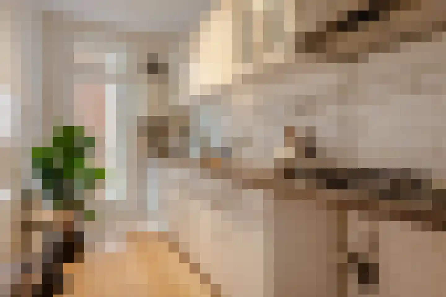 Beukenplein 21 2 Amsterdam thumbnail 11