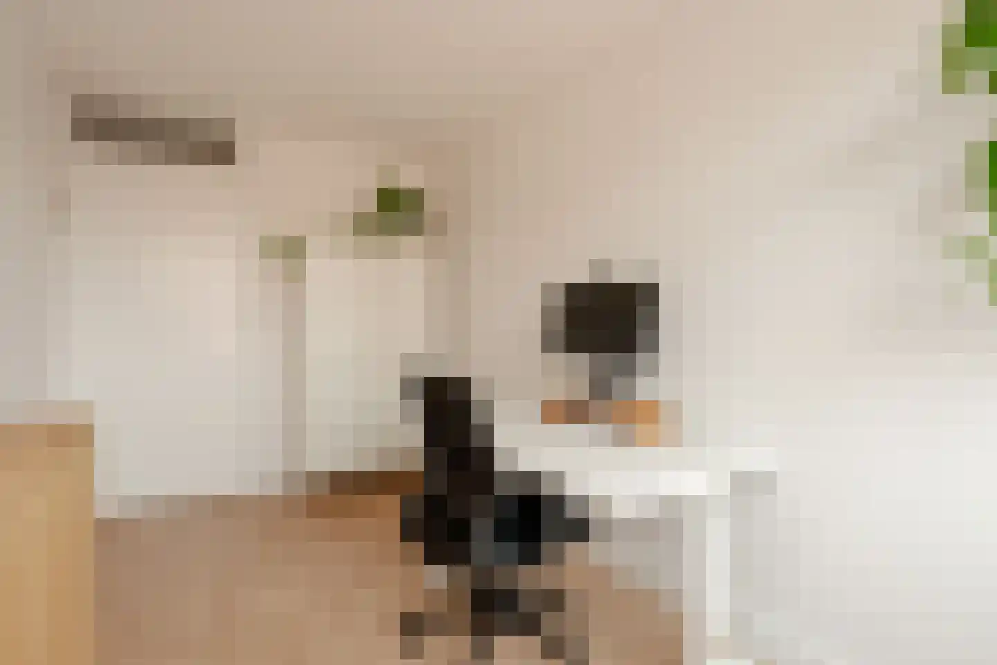 Beukenplein 4 D Amsterdam thumbnail 20