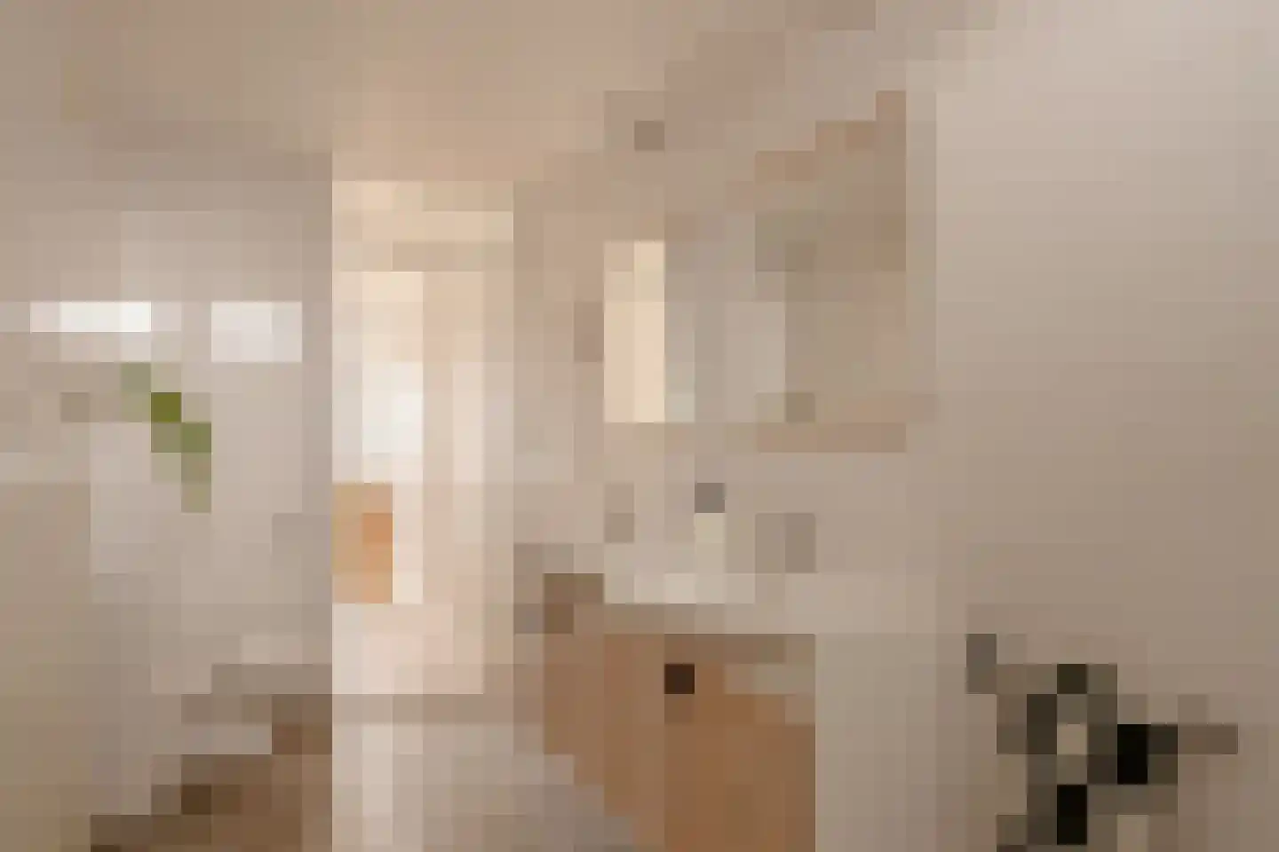 Beukenplein 4 D Amsterdam thumbnail 29