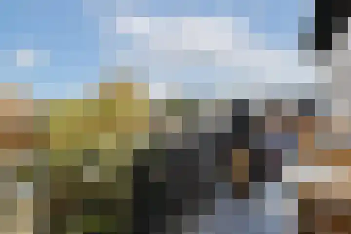 Beukenplein 69 Amsterdam thumbnail 15