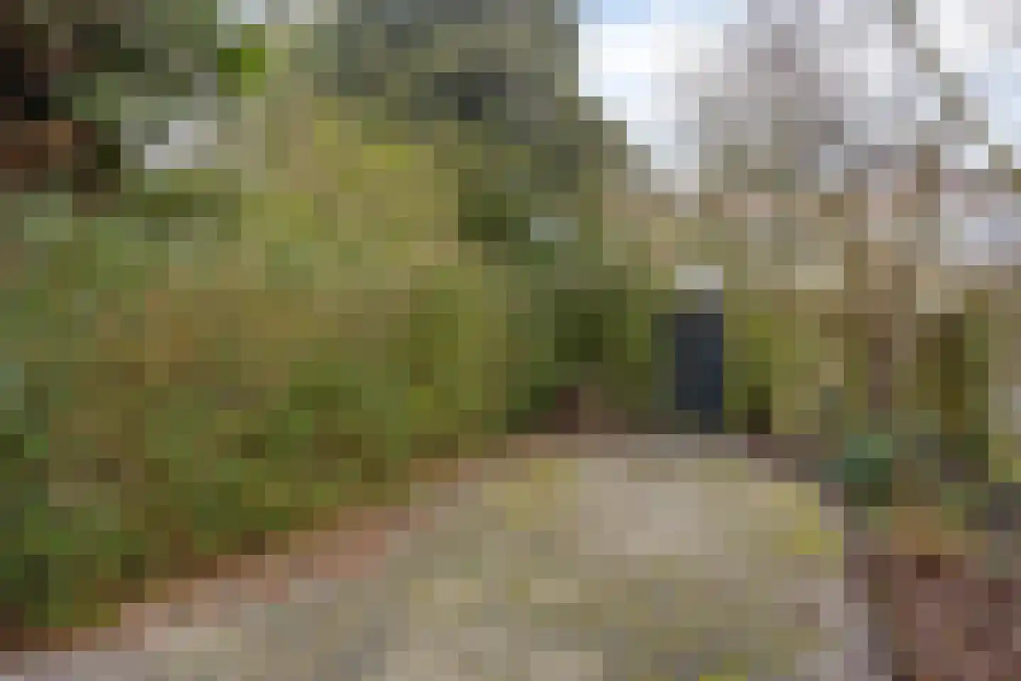 Beukenrode 17 Leiden thumbnail 22