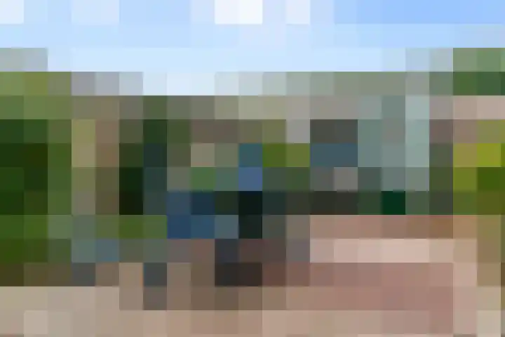 Beukenrode 17 Voorhout thumbnail 26