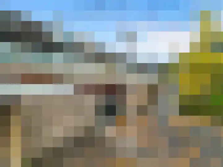 Beukenrode 17 Voorhout thumbnail 31