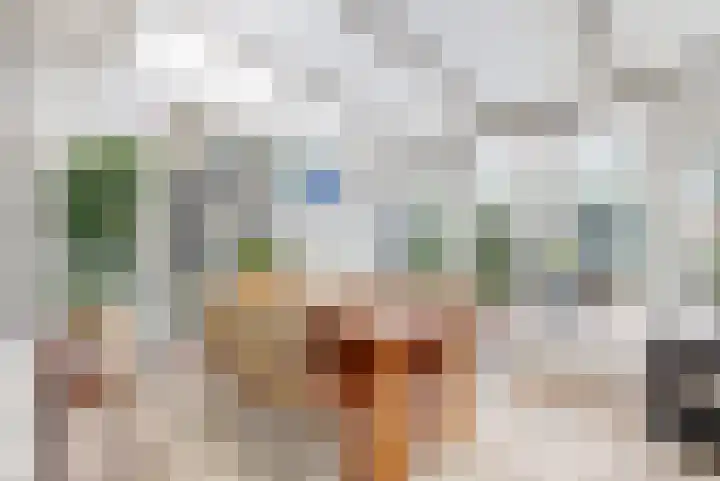 Beukenrode 17 Voorhout thumbnail 9
