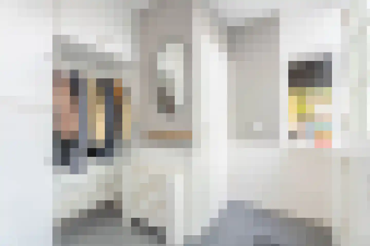 Beukenrode 177 Voorhout thumbnail 29
