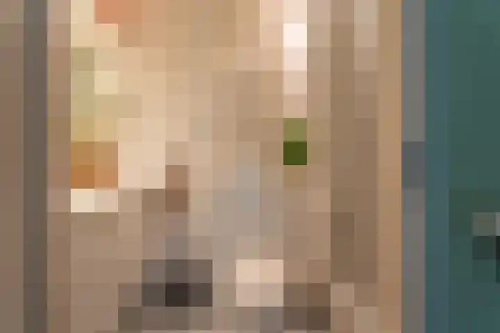 Beukenrode 181 Voorhout thumbnail 16