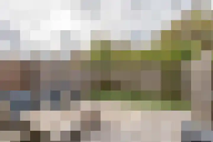 Beukenrode 181 Voorhout thumbnail 23