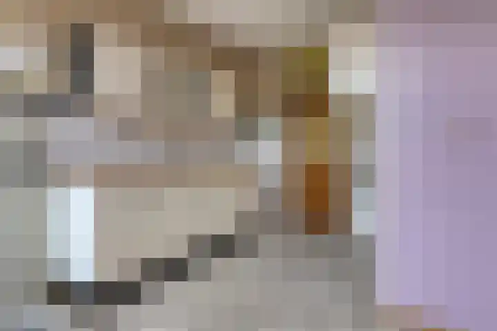 Beukenrode 2 Leiden thumbnail 18
