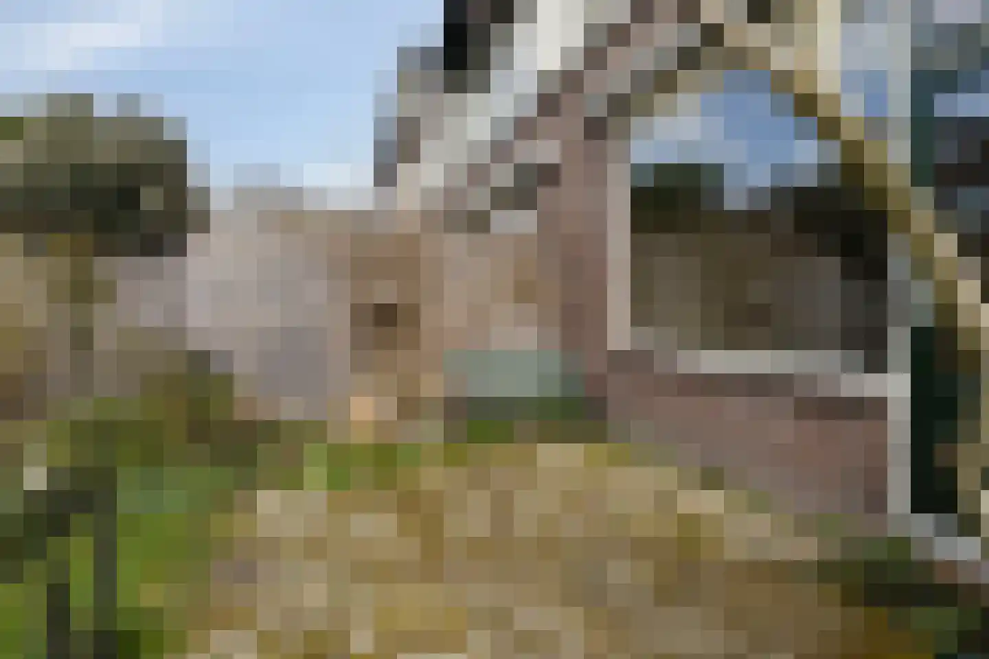Beukenrode 2 Leiden thumbnail 33