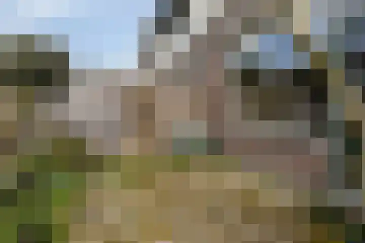 Beukenrode 2 Leiden thumbnail 33