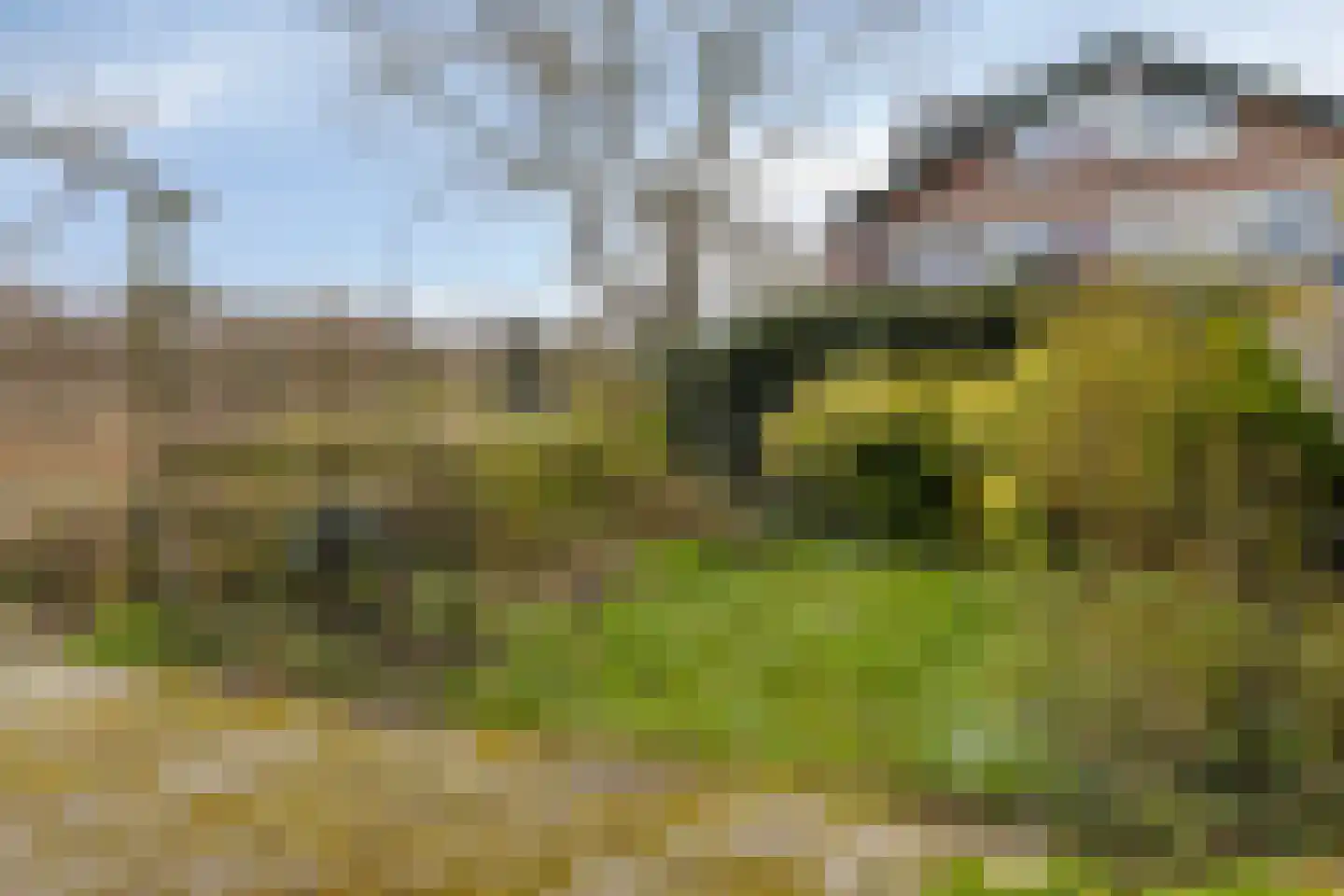 Beukenrode 2 Leiden thumbnail 34