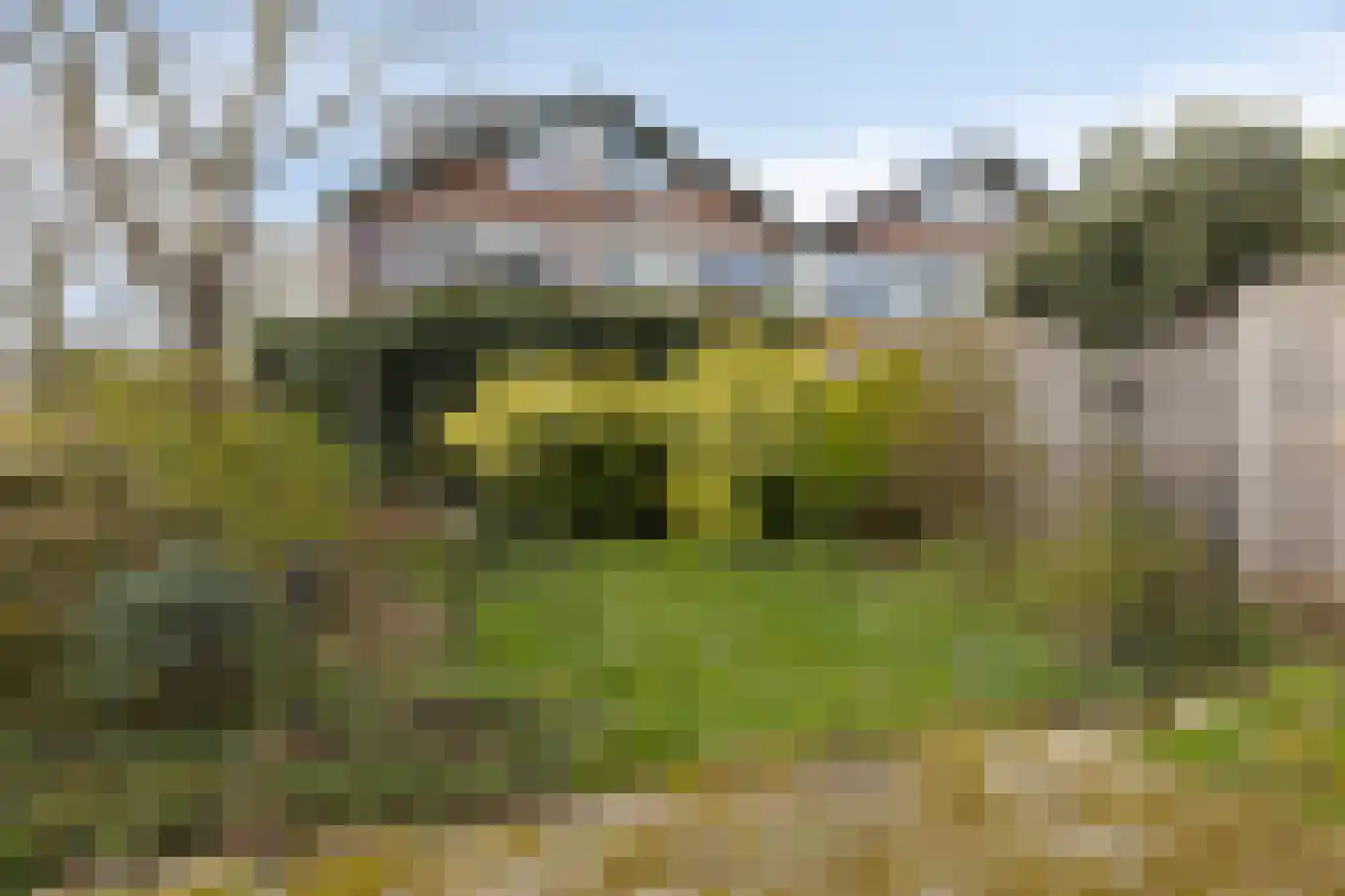 Beukenrode 2 Leiden thumbnail 35