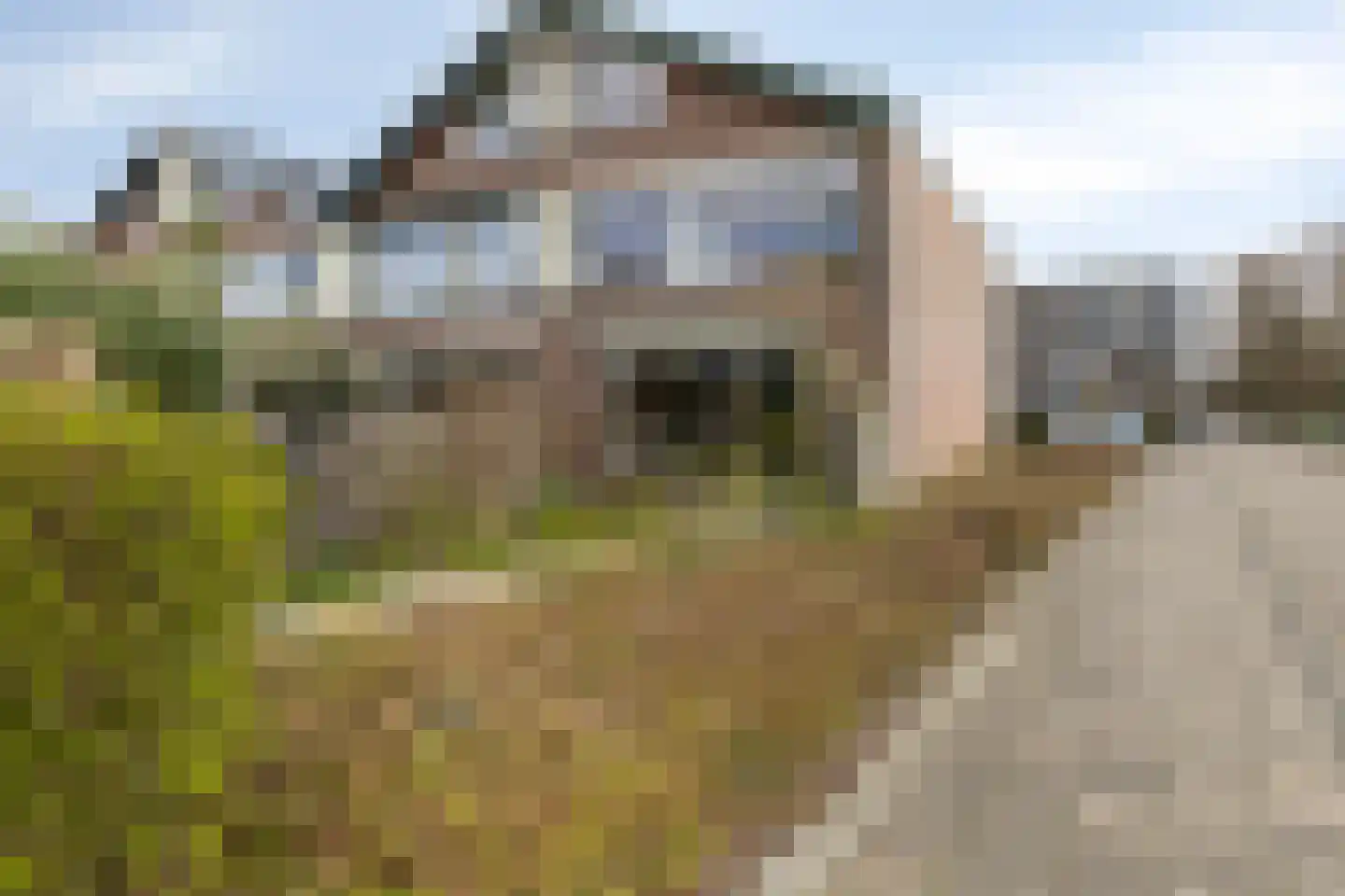 Beukenrode 2 Leiden thumbnail 36