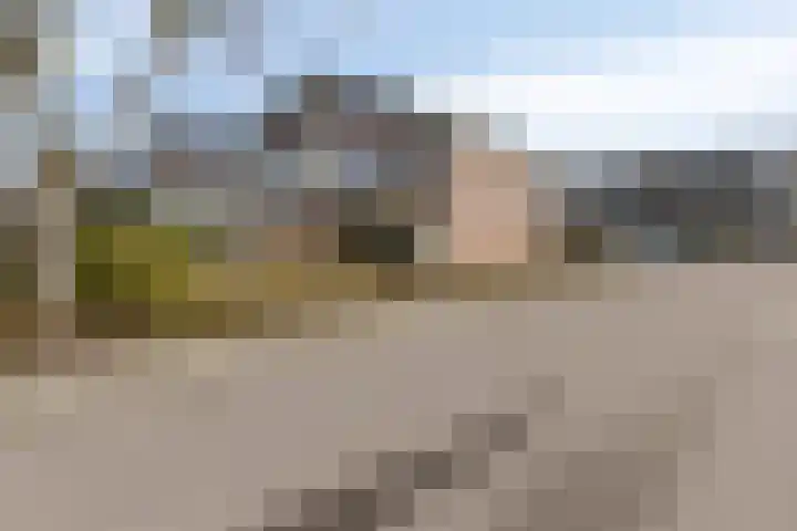 Beukenrode 2 Leiden thumbnail 37