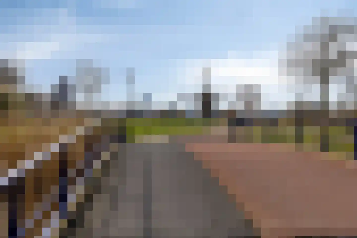 Beukenrode 2 Leiden thumbnail 40