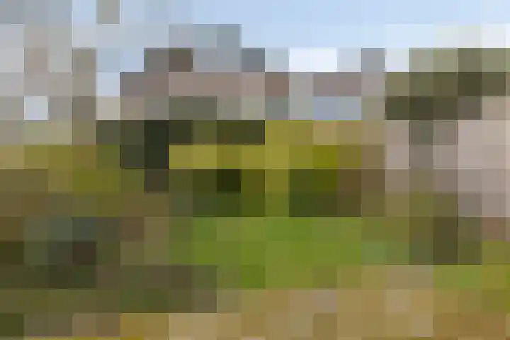 Beukenrode 2 Leiden thumbnail 6