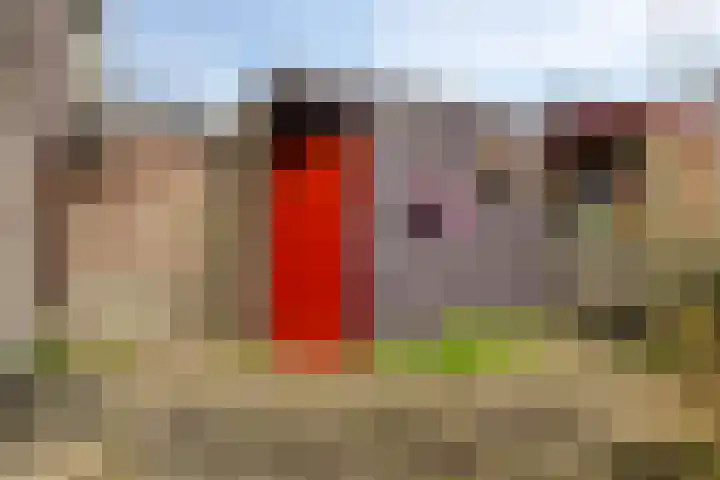 Beukenrode 2 Leiden thumbnail 9